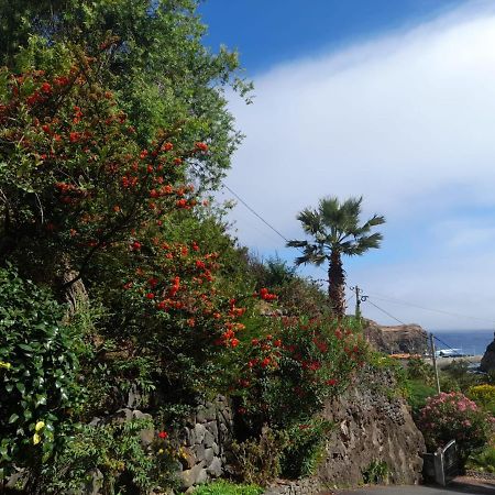 Paraiso Resiliente Santana  Bagian luar foto