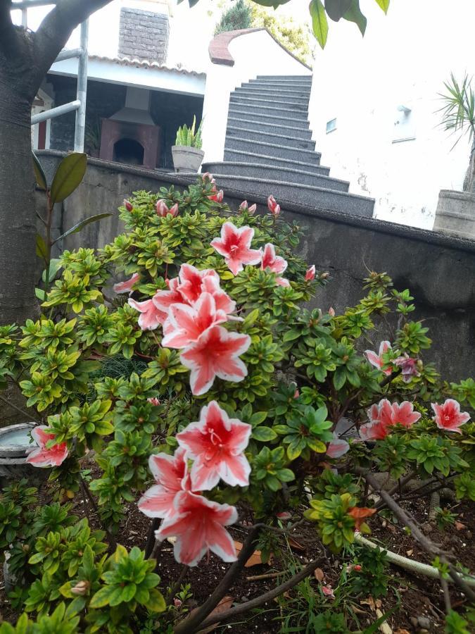 Paraiso Resiliente Santana  Bagian luar foto